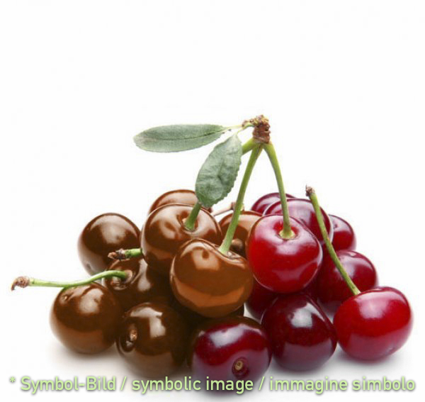 chocolate - cherry / cheri cioccolato ciliegia - *BY RESERVATION ONLY!
