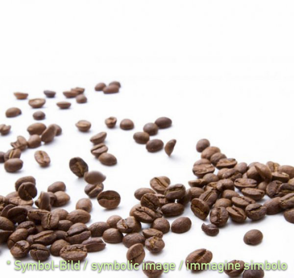 Kaffee / caffé - Dose 2,5 kg - Spezialitäten Eispaste