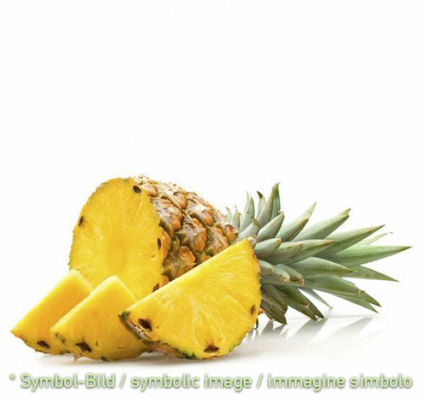pineapple / ananas -  tin 3,25 kg - Fruit Pastes