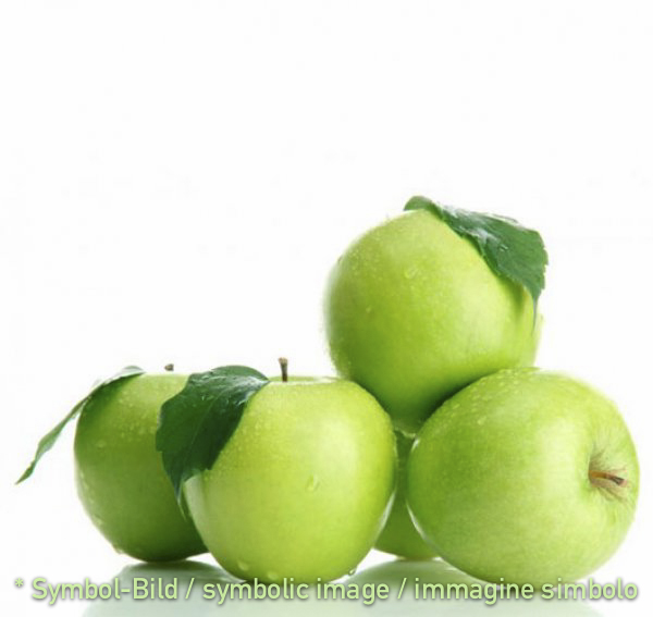 Apfel / mela - Dose 3,25 kg - Frucht Eispasten