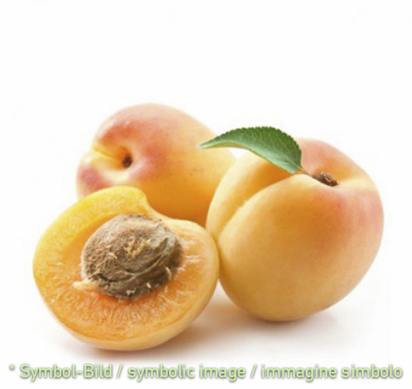 Aprikose / albicocca - Dose 3,25 kg - Frucht Eispasten