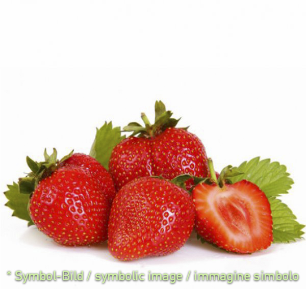 Erdbeere / fragola -  Dose 6,5 kg - Frucht Eispasten