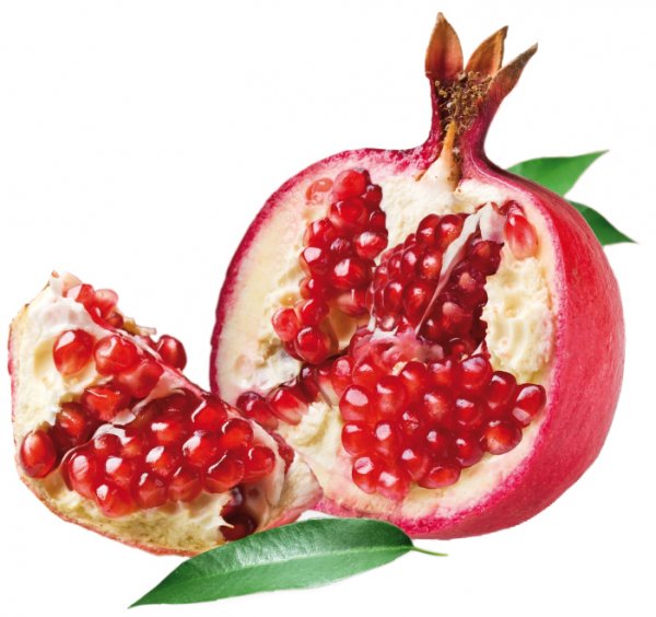 Granatapfel / melograno - Dose 3,25 kg - Frucht Eispasten