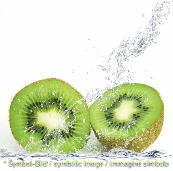 Kiwi - Dose  3,25 kg - Frucht Eispasten