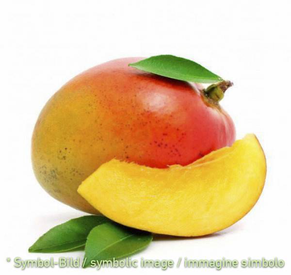 Mango - Dose 3,25 kg - Frucht Eispasten