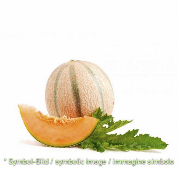 Melone - Dose 3,25 kg - Frucht Eispasten
