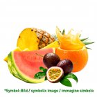 Tropical - Dose 3,25 kg - Frucht Eispasten