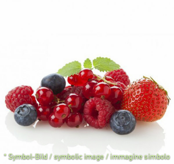 forest berries / frutti di bosco - tin 3,25 kg - Fruit Pastes