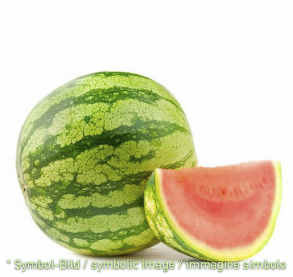 Wassermelone / anguria - Dose 3,25 kg - Frucht Eispasten