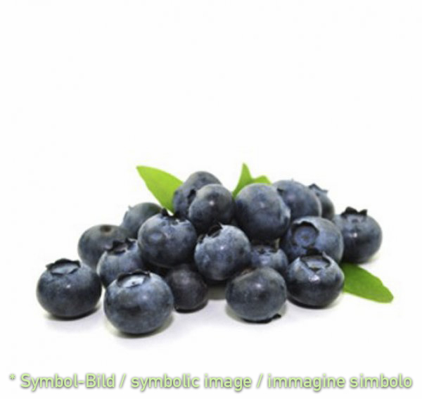 blueberry / mirtillo - tin 3,25 kg - Super Top Variegates ** BY RESERVATION ONLY!!!