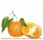 Mandarine / mandarino - Dose 3,25 kg - Super Top Marmorierer ** NUR AUF VORBESTELLUNG!!!