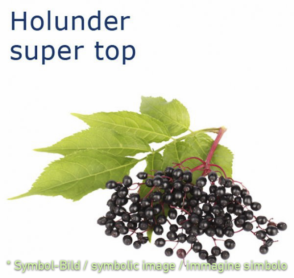 Holunder / sambuco - Flasche 1 kg - Super Top Marmorierer