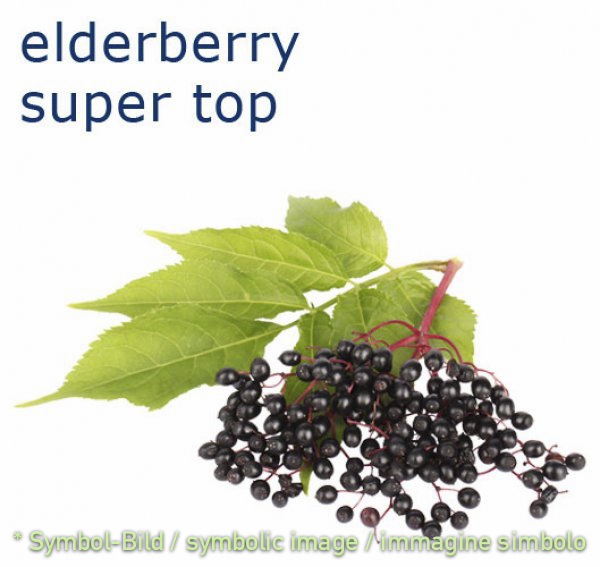 elderberry / sambuco - bottle 1 kg - Super Top Variegates