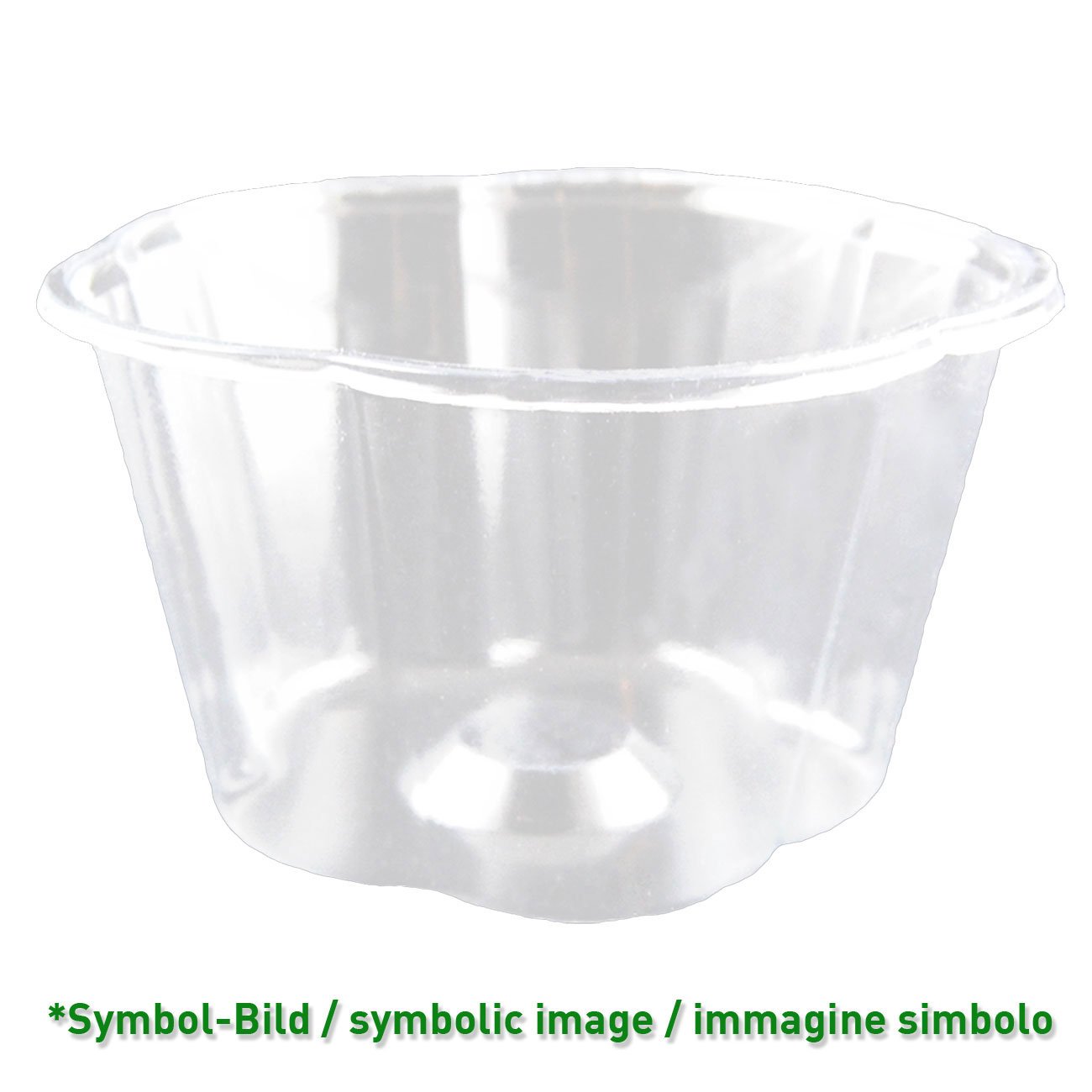 biodegradable Ice cream cup / 210 ccm / 1000 pieces - Ice cup 