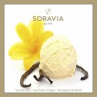 vanilla Bacca Nera vaniglia - bottle 1 kg - Speciality ice cream paste